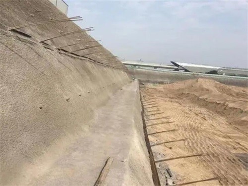 徐汇河道边坡加固
